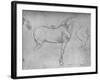 'A Horse in Profile to the Right and its Hind-Quarters', c1480 (1945)-Leonardo Da Vinci-Framed Giclee Print