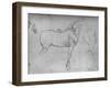 'A Horse in Profile to the Right and its Hind-Quarters', c1480 (1945)-Leonardo Da Vinci-Framed Giclee Print