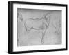 'A Horse in Profile to the Right and its Hind-Quarters', c1480 (1945)-Leonardo Da Vinci-Framed Giclee Print