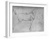 'A Horse in Profile to the Right and its Hind-Quarters', c1480 (1945)-Leonardo Da Vinci-Framed Giclee Print