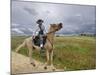 A Horse Pilgrimage in Viana Do Alentejo, Portugal-Mauricio Abreu-Mounted Photographic Print