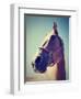 A Horse's Head-graphicphoto-Framed Photographic Print