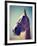 A Horse's Head-graphicphoto-Framed Photographic Print