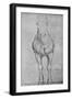 'A Horse Seen from the Front', c1480 (1945)-Leonardo Da Vinci-Framed Giclee Print