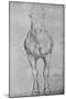 'A Horse Seen from the Front', c1480 (1945)-Leonardo Da Vinci-Mounted Giclee Print