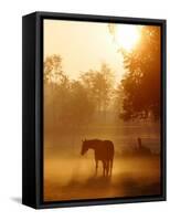 A Horse Stands in a Meadow in Early Morning Fog in Langenhagen Germany, Oct 17, 2006-Kai-uwe Knoth-Framed Stretched Canvas
