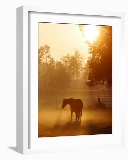 A Horse Stands in a Meadow in Early Morning Fog in Langenhagen Germany, Oct 17, 2006-Kai-uwe Knoth-Framed Photographic Print