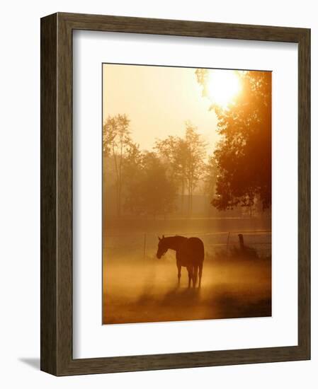 A Horse Stands in a Meadow in Early Morning Fog in Langenhagen Germany, Oct 17, 2006-Kai-uwe Knoth-Framed Photographic Print