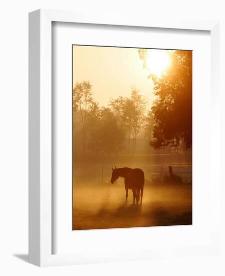 A Horse Stands in a Meadow in Early Morning Fog in Langenhagen Germany, Oct 17, 2006-Kai-uwe Knoth-Framed Photographic Print