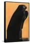 A Horus Falcon, C600 BC-null-Framed Stretched Canvas