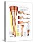 A Hosiery Service for Fashion Frocks' Customer-Fashion Frocks-Stretched Canvas