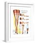 A Hosiery Service for Fashion Frocks' Customer-Fashion Frocks-Framed Art Print