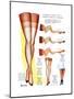 A Hosiery Service for Fashion Frocks' Customer-Fashion Frocks-Mounted Art Print