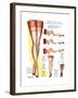 A Hosiery Service for Fashion Frocks' Customer-Fashion Frocks-Framed Art Print