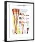 A Hosiery Service for Fashion Frocks' Customer-Fashion Frocks-Framed Art Print