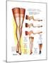 A Hosiery Service for Fashion Frocks' Customer-Fashion Frocks-Mounted Art Print