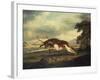 A Hound Attacking a Stag, 1769-Herri Met De Bles-Framed Giclee Print