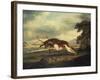 A Hound Attacking a Stag, 1769-Herri Met De Bles-Framed Giclee Print