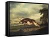 A Hound Attacking a Stag, 1769-Herri Met De Bles-Framed Stretched Canvas