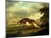 A Hound Attacking a Stag-George Stubbs-Mounted Giclee Print