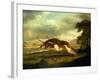 A Hound Attacking a Stag-George Stubbs-Framed Giclee Print