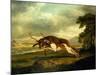 A Hound Attacking a Stag-George Stubbs-Mounted Giclee Print