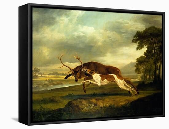 A Hound Attacking a Stag-George Stubbs-Framed Stretched Canvas