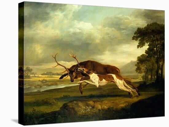 A Hound Attacking a Stag-George Stubbs-Stretched Canvas
