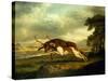 A Hound Attacking a Stag-George Stubbs-Stretched Canvas