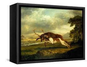 A Hound Attacking a Stag-George Stubbs-Framed Stretched Canvas