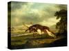 A Hound Attacking a Stag-George Stubbs-Stretched Canvas