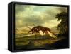 A Hound Attacking a Stag-George Stubbs-Framed Stretched Canvas