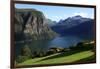 A House Above the Fjord at Valldal, Norway, Scandinavia, Europe-David Pickford-Framed Photographic Print