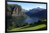 A House Above the Fjord at Valldal, Norway, Scandinavia, Europe-David Pickford-Framed Photographic Print