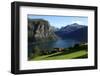 A House Above the Fjord at Valldal, Norway, Scandinavia, Europe-David Pickford-Framed Photographic Print