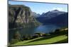 A House Above the Fjord at Valldal, Norway, Scandinavia, Europe-David Pickford-Mounted Photographic Print