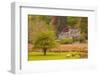 A House Amongst the Woodland Near to Ambleside in the Lake District National Park-Julian Elliott-Framed Photographic Print