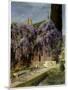 A House Entwined with Wisteria, Late 19th or 20th Century-Mikhail Alisov-Mounted Giclee Print