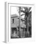 A House in Port Au Prince, 1908-09-Harry Hamilton Johnston-Framed Photographic Print