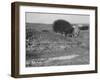 A House off its Foundation in a Gulley, Ca. 1910.-Kirn Vintage Stock-Framed Photographic Print