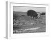 A House off its Foundation in a Gulley, Ca. 1910.-Kirn Vintage Stock-Framed Photographic Print