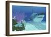 A Huge Megalodon Shark Swimming in Clear Ocean Waters-null-Framed Premium Giclee Print