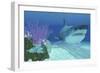 A Huge Megalodon Shark Swimming in Clear Ocean Waters-null-Framed Premium Giclee Print