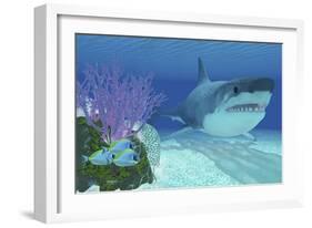 A Huge Megalodon Shark Swimming in Clear Ocean Waters-null-Framed Premium Giclee Print