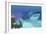 A Huge Megalodon Shark Swimming in Clear Ocean Waters-null-Framed Premium Giclee Print