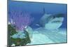 A Huge Megalodon Shark Swimming in Clear Ocean Waters-null-Mounted Premium Giclee Print