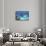 A Huge Megalodon Shark Swimming in Clear Ocean Waters-null-Framed Stretched Canvas displayed on a wall