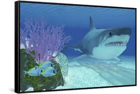 A Huge Megalodon Shark Swimming in Clear Ocean Waters-null-Framed Stretched Canvas