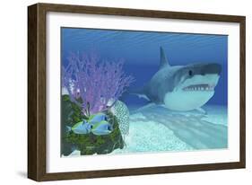 A Huge Megalodon Shark Swimming in Clear Ocean Waters-null-Framed Art Print