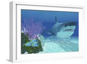 A Huge Megalodon Shark Swimming in Clear Ocean Waters-null-Framed Art Print